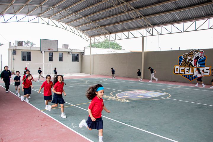 Niños en actividad de juego y movimiento en la cancha